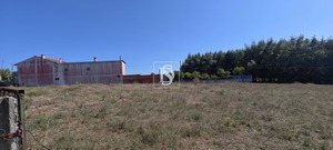Terreno Rstico T0 - Arcos, Anadia, Aveiro - Miniatura: 13/15
