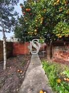 Moradia T3 - S�o Louren�o do Bairro, Anadia, Aveiro - Miniatura: 4/39