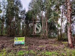 Terreno R�stico - Bustos, Oliveira do Bairro, Aveiro - Miniatura: 3/3
