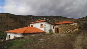 Quinta T0 - Lousa, Torre de Moncorvo, Bragana - Miniatura: 7/16