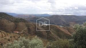 Quinta T0 - Lousa, Torre de Moncorvo, Bragana - Miniatura: 13/24