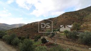 Quinta T0 - Lousa, Torre de Moncorvo, Bragana - Miniatura: 15/24