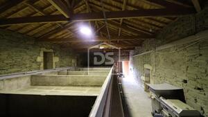 Quinta T0 - Lousa, Torre de Moncorvo, Bragana - Miniatura: 17/24