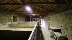 Quinta T0 - Lousa, Torre de Moncorvo, Bragana - Miniatura: 18/24