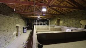 Quinta T0 - Lousa, Torre de Moncorvo, Bragana - Miniatura: 19/24