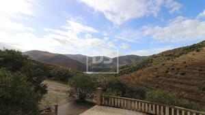 Quinta T0 - Lousa, Torre de Moncorvo, Bragana - Miniatura: 22/24