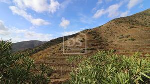 Quinta T0 - Lousa, Torre de Moncorvo, Bragana - Miniatura: 24/24