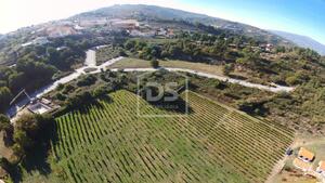 Terreno Rstico T0 - Almacave, Lamego, Viseu - Miniatura: 13/15