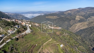 Quinta T3 - T�vora, Tabua�o, Viseu - Miniatura: 2/24