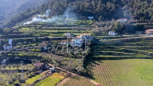 Quinta T3 - T�vora, Tabua�o, Viseu - Miniatura: 5/24