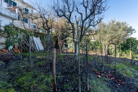 Quinta T3 - T�vora, Tabua�o, Viseu - Miniatura: 16/24