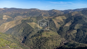 Quinta T3 - T�vora, Tabua�o, Viseu - Miniatura: 22/24