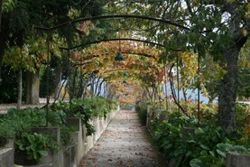Quinta T0 - Cumieira, Santa Marta de Penagui�o, Vila Real - Miniatura: 9/24