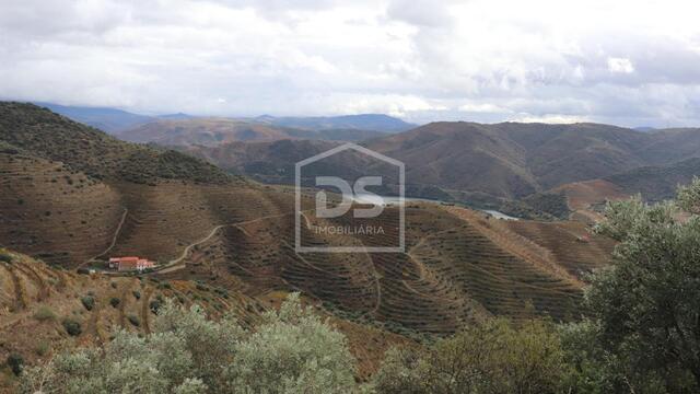Moradia T3 - Poiares, Peso da R�gua, Vila Real - Imagem grande