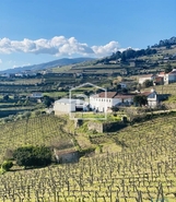 Quinta T4 - Fontelas, Peso da Rgua, Vila Real