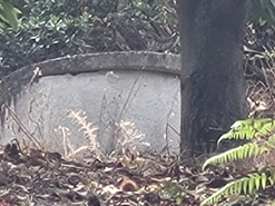 Terreno Urbano T0 - Armamar, Armamar, Viseu - Miniatura: 21/30