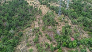 Terreno Urbano T0 - Armamar, Armamar, Viseu - Miniatura: 23/30