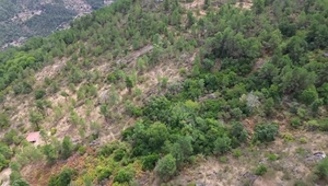 Terreno Urbano T0 - Armamar, Armamar, Viseu - Miniatura: 25/30