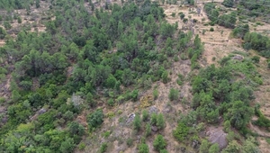 Terreno Urbano T0 - Armamar, Armamar, Viseu - Miniatura: 26/30