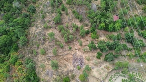 Terreno Urbano T0 - Armamar, Armamar, Viseu - Miniatura: 27/30