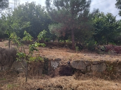 Terreno Urbano T0 - Armamar, Armamar, Viseu - Miniatura: 29/30