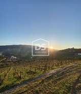 Quinta T4 - Fontelas, Peso da Rgua, Vila Real - Miniatura: 1/20