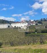 Quinta T4 - Fontelas, Peso da Rgua, Vila Real - Miniatura: 2/20