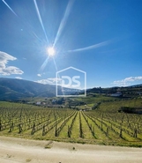 Quinta T4 - Fontelas, Peso da Rgua, Vila Real - Miniatura: 5/20