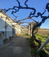 Quinta T4 - Fontelas, Peso da Rgua, Vila Real - Miniatura: 7/20