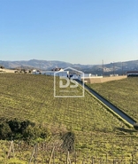 Quinta T4 - Fontelas, Peso da Rgua, Vila Real - Miniatura: 8/20