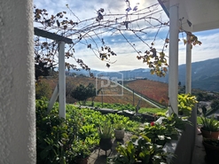 Quinta T4 - Fontelas, Peso da R�gua, Vila Real - Miniatura: 8/24