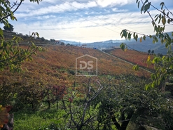 Quinta T4 - Fontelas, Peso da R�gua, Vila Real - Miniatura: 10/24