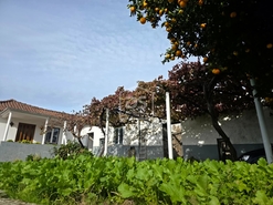 Quinta T4 - Fontelas, Peso da R�gua, Vila Real - Miniatura: 11/24