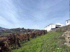 Quinta T4 - Fontelas, Peso da R�gua, Vila Real - Miniatura: 21/24