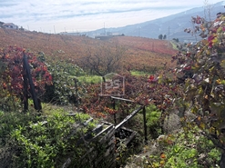 Quinta T4 - Fontelas, Peso da R�gua, Vila Real - Miniatura: 22/24