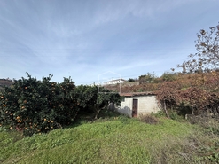 Quinta T4 - Fontelas, Peso da R�gua, Vila Real - Miniatura: 23/24