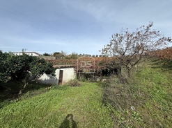 Quinta T4 - Fontelas, Peso da R�gua, Vila Real - Miniatura: 24/24