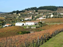 Quinta T4 - Fontelas, Peso da R�gua, Vila Real - Miniatura: 23/24