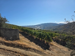 Moradia T3 - Poiares, Peso da R�gua, Vila Real - Miniatura: 6/24
