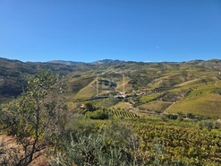 Quinta T0 - N�o Definido, N�o Definido, N�o Definido - Miniatura: 2/16