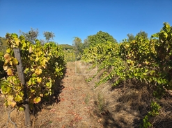 Quinta T0 - N�o Definido, N�o Definido, N�o Definido - Miniatura: 3/16