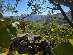 Quinta T0 - N�o Definido, N�o Definido, N�o Definido - Miniatura: 4/16