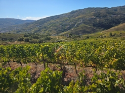 Quinta T0 - N�o Definido, N�o Definido, N�o Definido - Miniatura: 8/16