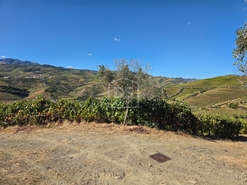 Quinta T0 - N�o Definido, N�o Definido, N�o Definido - Miniatura: 9/16