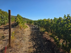 Quinta T0 - N�o Definido, N�o Definido, N�o Definido - Miniatura: 10/16