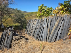 Quinta T0 - N�o Definido, N�o Definido, N�o Definido - Miniatura: 11/16