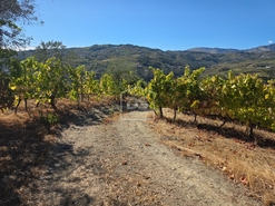 Quinta T0 - N�o Definido, N�o Definido, N�o Definido - Miniatura: 14/16