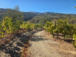 Quinta T0 - N�o Definido, N�o Definido, N�o Definido - Miniatura: 15/16