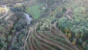 Quinta T0 - Varzea de Abrunhais, Lamego, Viseu - Miniatura: 1/20