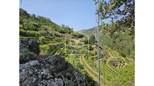 Quinta T0 - Varzea de Abrunhais, Lamego, Viseu - Miniatura: 3/20